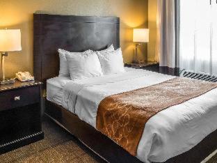 Spark by Hilton Round Rock - Round Rock - 3