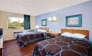 Super 8 by Wyndham Newburgh/West Point Stewart Intl Airport - 5