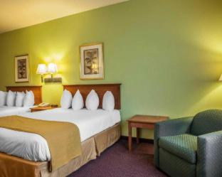 Quality Inn & Suites - Hannibal - 7