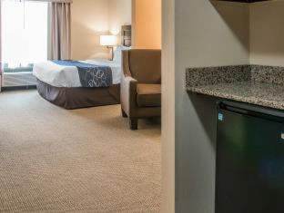 Comfort Suites South Bend Near Casino - South Bend - 4