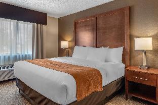 Comfort Suites Terre Haute University Area - Terre Haute - 9