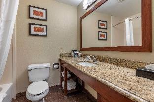 Comfort Suites Terre Haute University Area - Terre Haute - 8