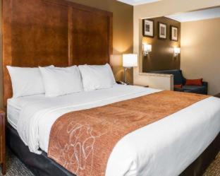 Comfort Suites Terre Haute University Area - 4