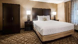 Best Western Okemos/East Lansing Hotel & Suites - 6