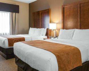 Comfort Suites Terre Haute University Area - Terre Haute - 1