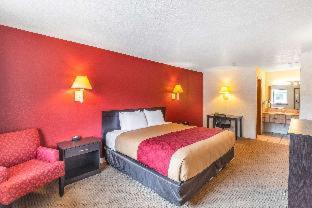 Econo Lodge Fredericksburg - Fredericksburg - 6