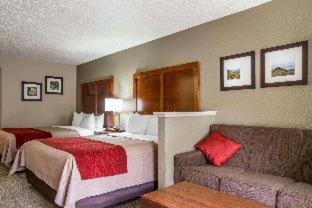 Comfort Inn & Suites at Dollywood Lane - Pigeon Forge - 2