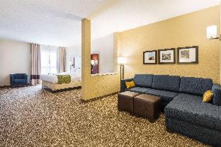 Comfort Suites Greenville South - 8