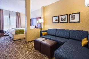 Comfort Suites Greenville South - 5