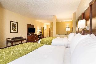 Comfort Suites Greenville South - 3