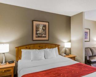 Comfort Suites Boone - University Area - Boone - 9