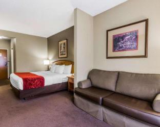 Comfort Suites Boone - University Area - Boone - 8