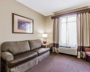 Comfort Suites Boone - University Area - Boone - 7