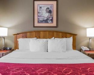 Comfort Suites Boone - University Area - Boone - 5