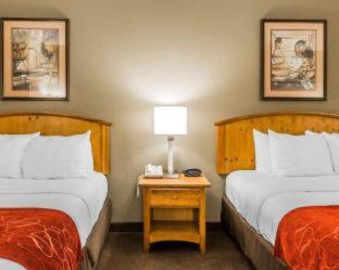 Comfort Suites Boone - University Area - Boone - 1