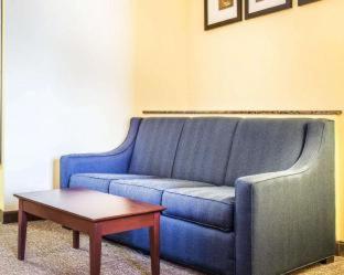 Comfort Suites Rock Hill Manchester Meadows Area - Rock Hill - 9