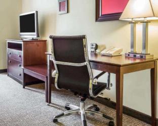 Comfort Suites Rock Hill Manchester Meadows Area - Rock Hill - 8