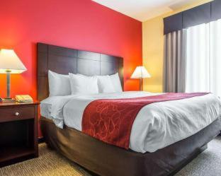 Comfort Suites Rock Hill Manchester Meadows Area - 7
