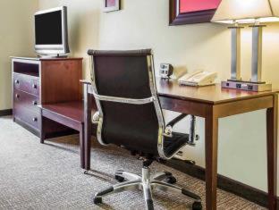 Comfort Suites Rock Hill Manchester Meadows Area - Rock Hill - 5