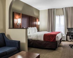 Comfort Suites University - Research Park - Charlotte - 4