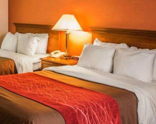Quality Inn East Liverpool - Calcutta - 8