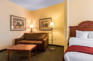 Comfort Suites - Mount Vernon - 6
