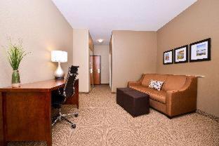 Comfort Suites - Mount Vernon - 5
