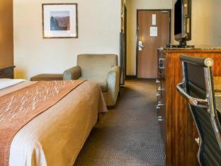 Comfort Inn & Suites Midtown - 7