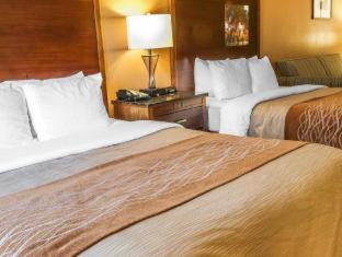 Comfort Inn & Suites Midtown - Ruidoso - 2