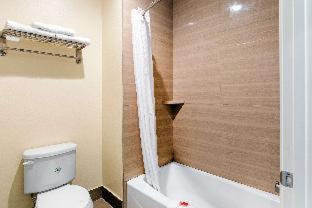 Econo Lodge Inn & Suites Houston Willowbrook - Houston - 9