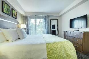 Desert Rose Resort - 6