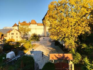 VILLA SERANDITE maison de famille - Annecy - 7