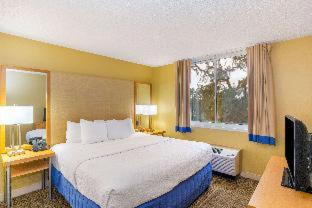 La Quinta by Wyndham Sarasota Downtown - 9