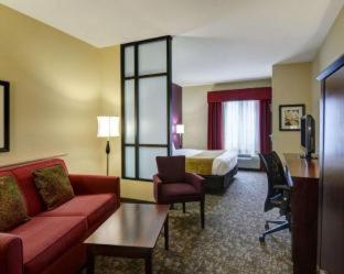 Comfort Suites Little Rock West - 6