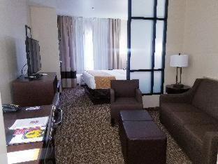Comfort Suites Little Rock West - 5