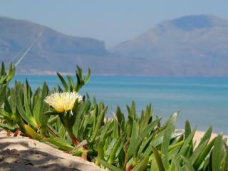 Tonnara Apartments - Alcamo Marina - 4