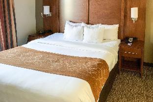 Comfort Suites Columbus State University Area - 7