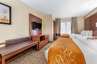Comfort Suites Elkhart South - 9