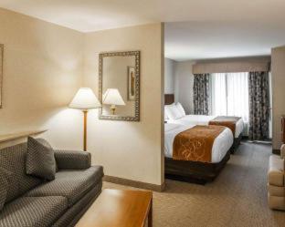 Comfort Suites Elkhart South - 3