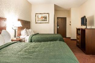 Quality Inn & Suites Danville East - Danville - 5