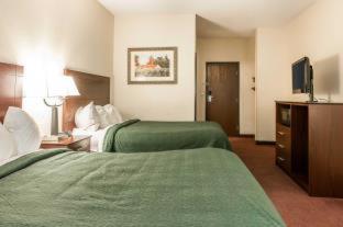 Quality Inn & Suites Danville East - Danville - 3