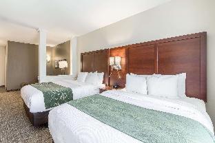 Comfort Suites Kyle - Kyle - 5
