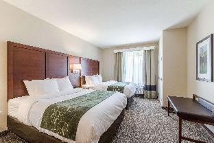 Comfort Suites Kyle - Kyle - 3