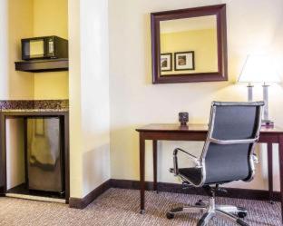 Comfort Suites Rock Hill Manchester Meadows Area - Rock Hill - 3