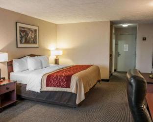 Comfort Inn Indianapolis South I-65 - 9