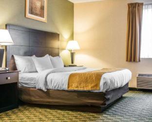Comfort Inn Whitehall near Michigan's Adventure - 3