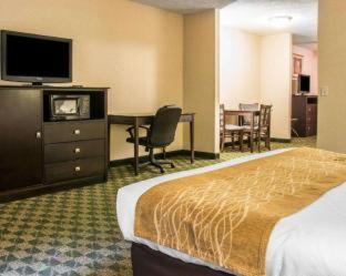 Comfort Inn Whitehall near Michigan's Adventure - 1