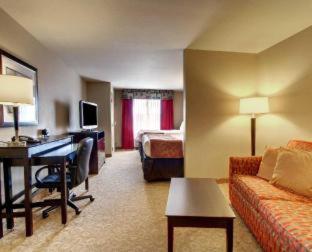Comfort Suites - 5
