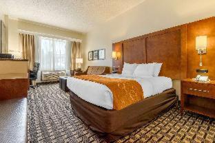 Comfort Inn Summerville - Charleston - 5