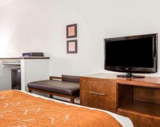 Comfort Inn Summerville - Charleston - 2